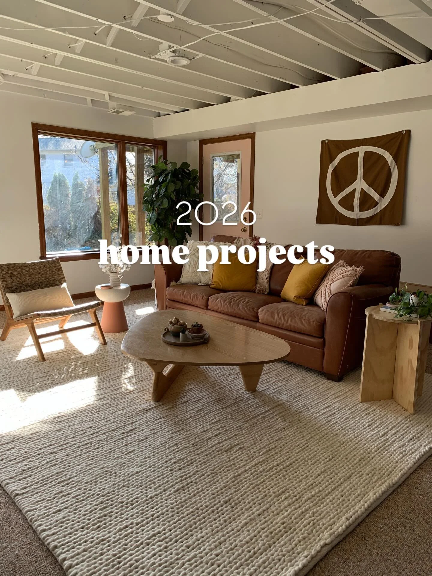 On the docket for my 2026 home projects - 

- I gave my basement a major facelift in 2019. Since then it&rsquo;s been trashed by kids, pets and a pipe leak time and time again. I plan to replace the carpet and begin shifting the basement from toy roo