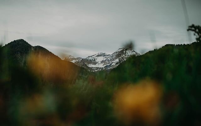 Such a beautiful morning up American Fork Canyon today.