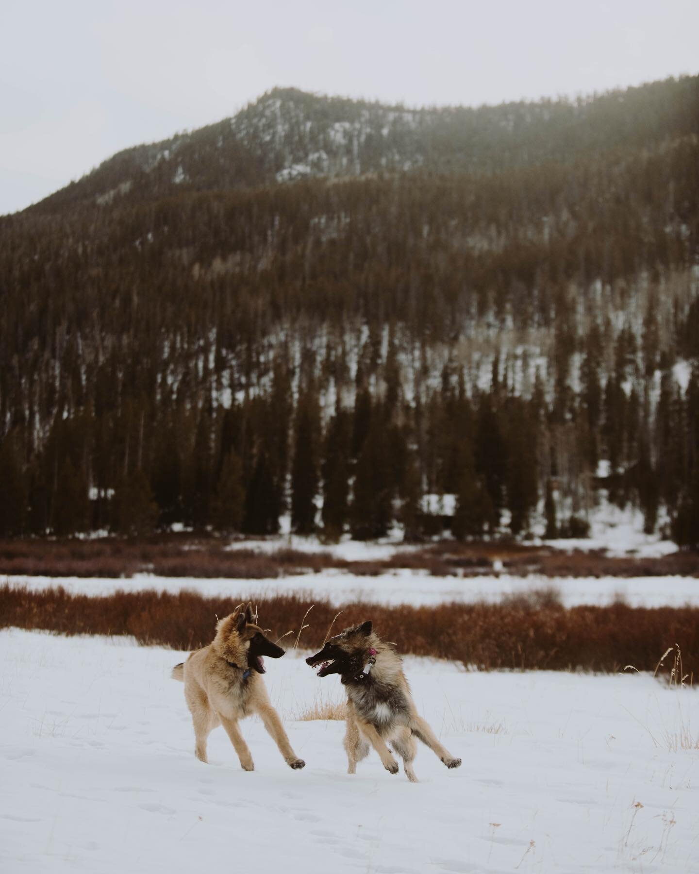 This is a photo of Iona yelling &ldquo;HAPPY NEW YEAR!!!&rdquo; at Bjorn