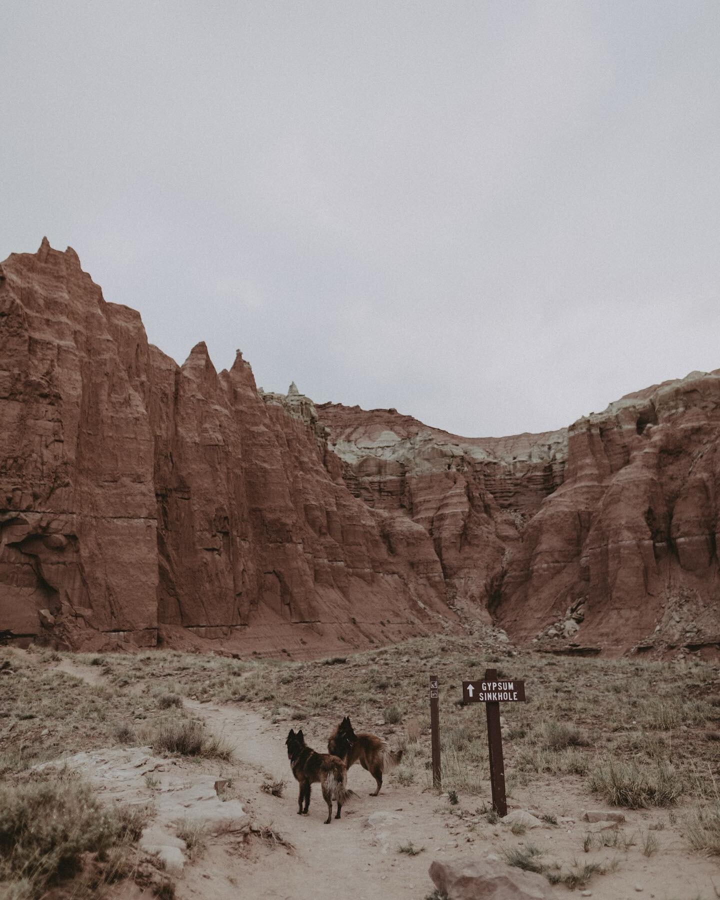 I think Capitol Reef is Iona and Bjorn&rsquo;s favorite park.