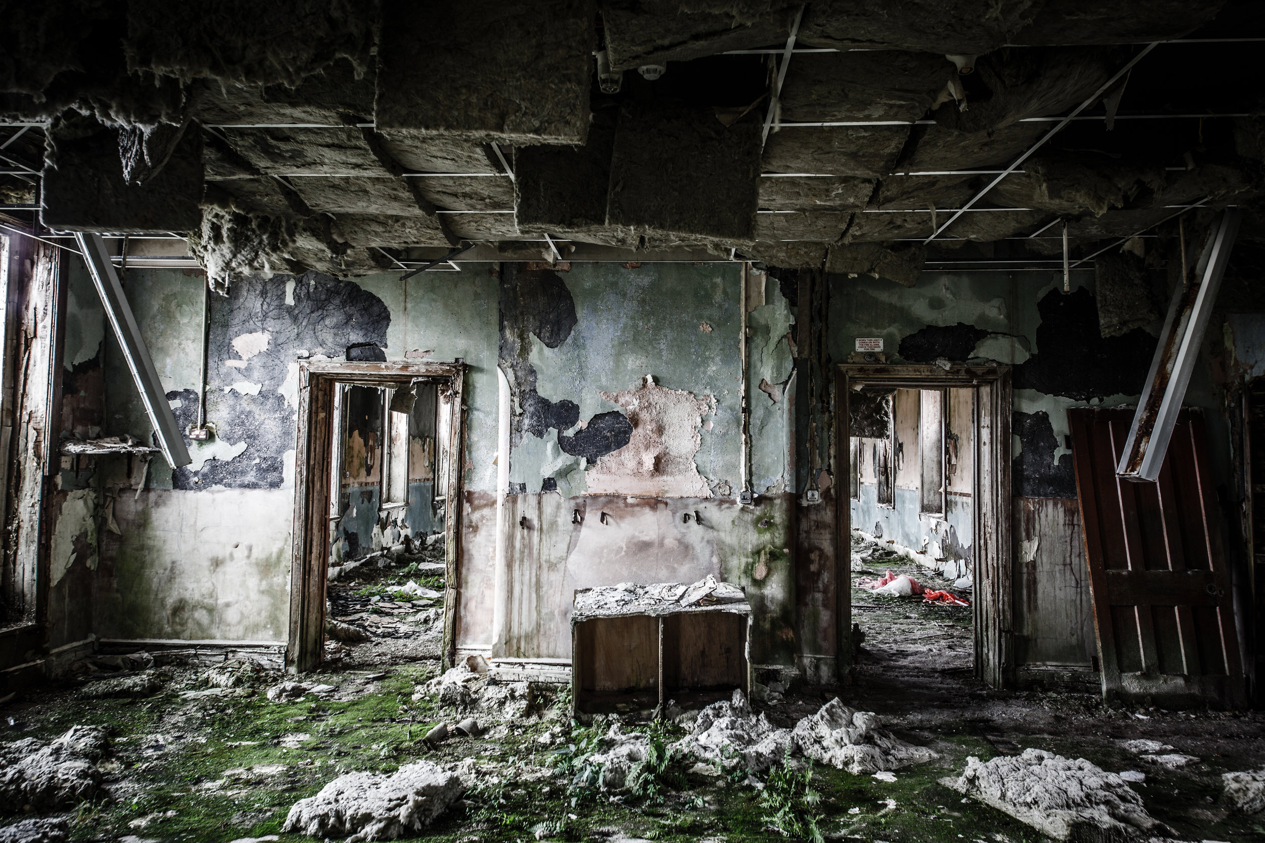 Asylum Door