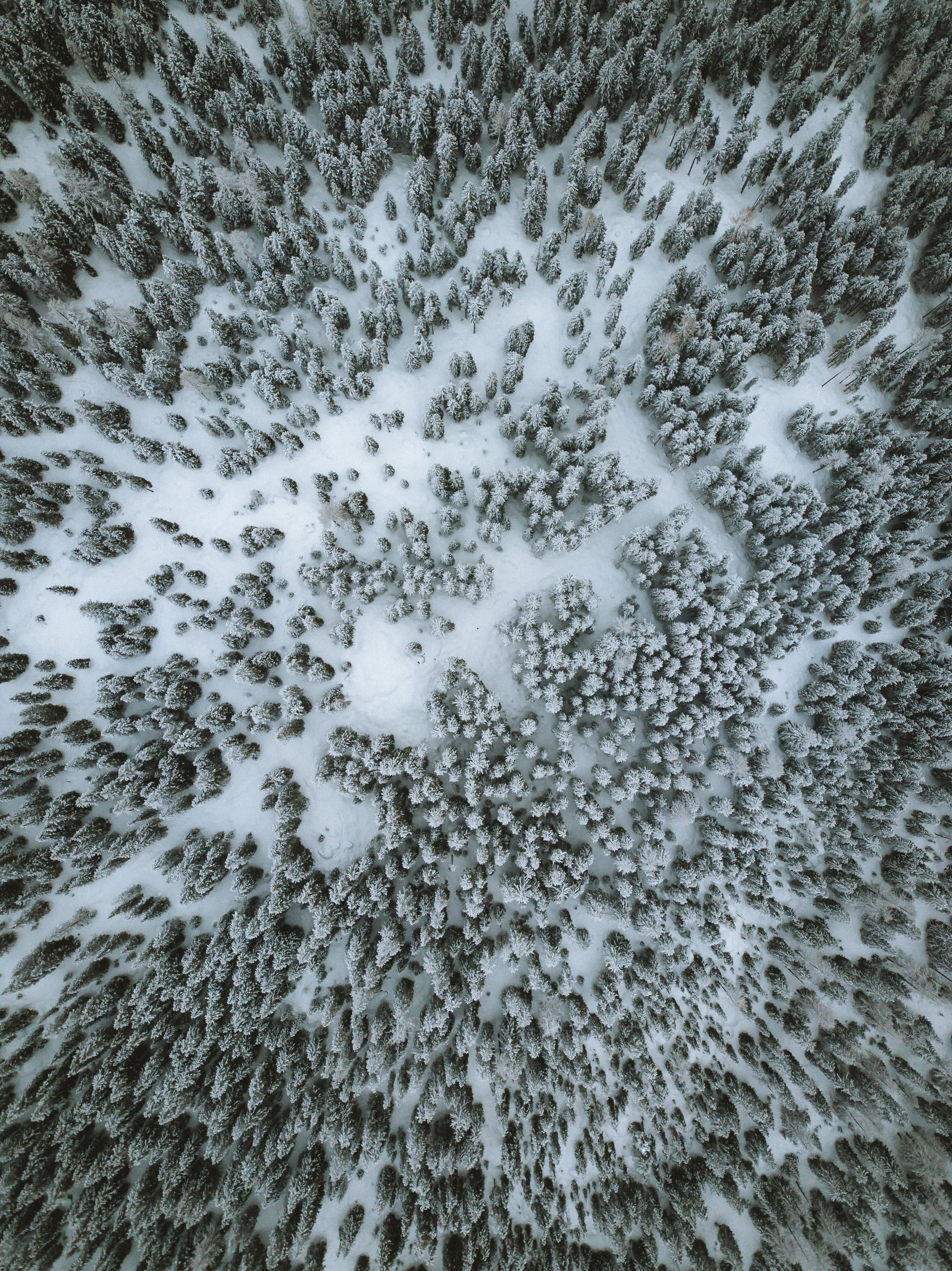 DJI_0170.jpg