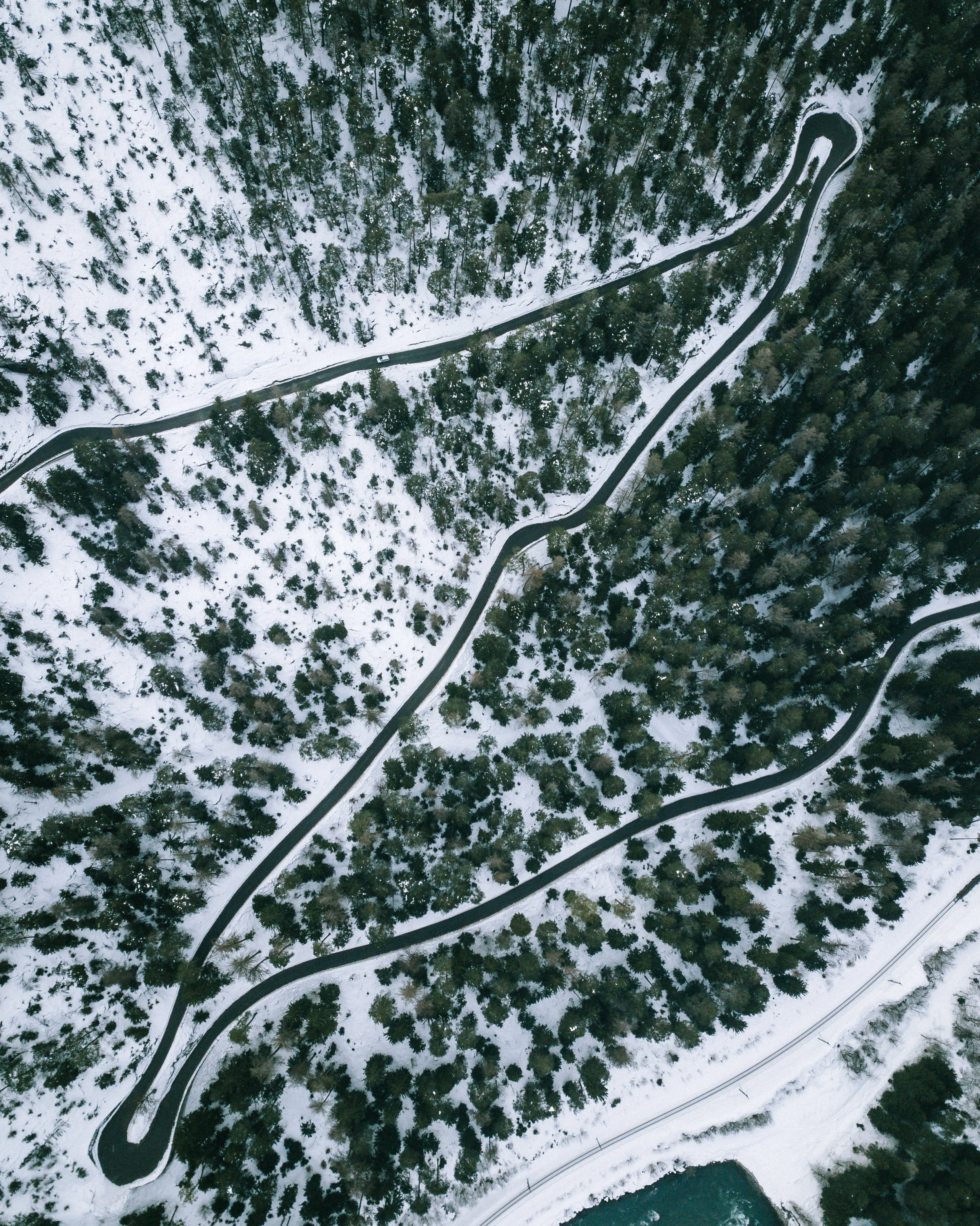 DJI_0081.jpg
