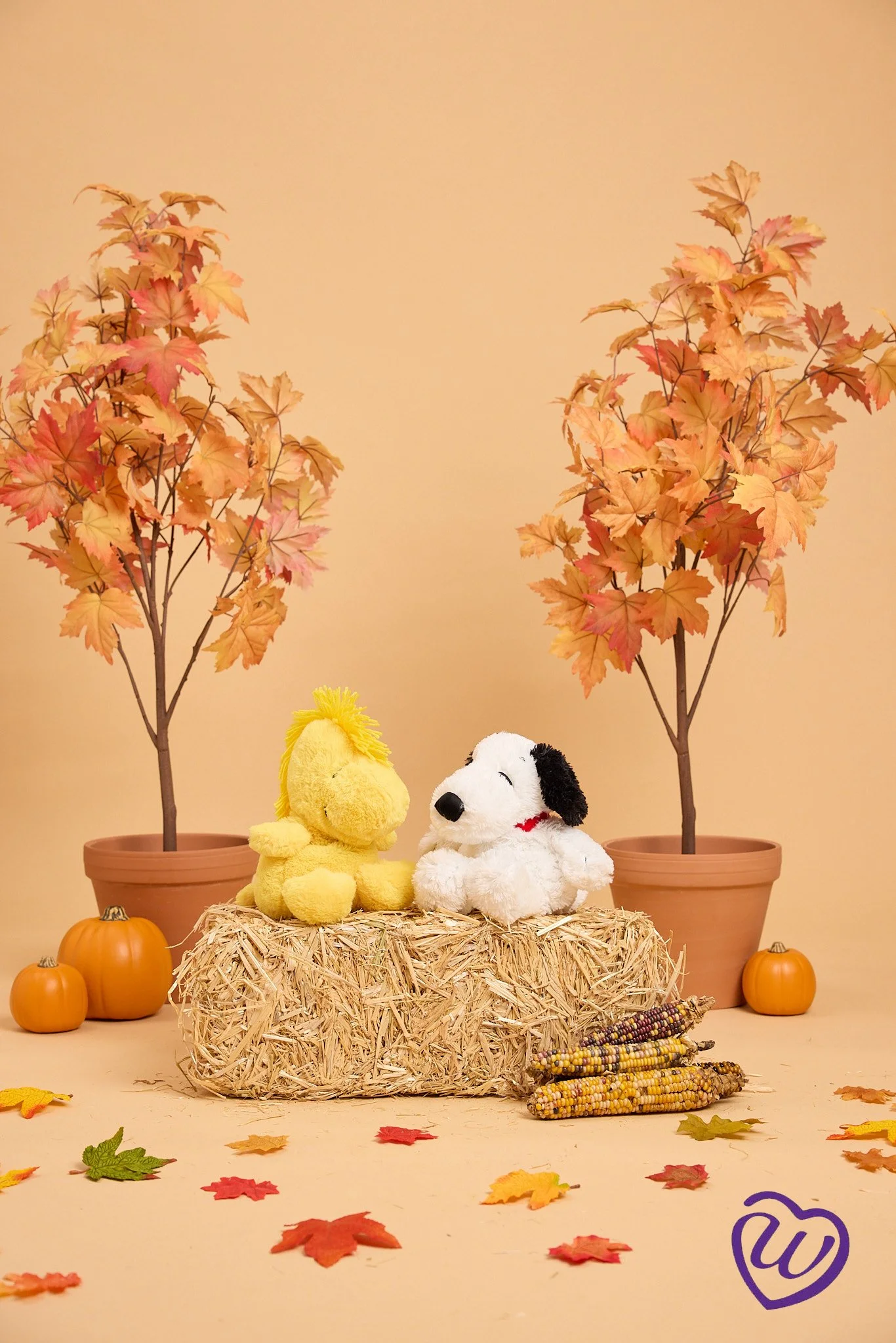 **Doubles_SnoopyWoodstock_1593 LOGO.jpg