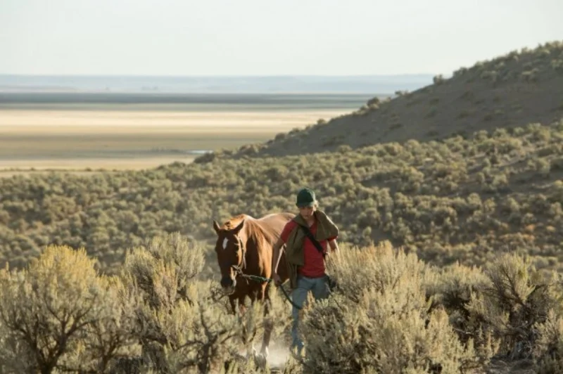 Walking through the Eastern Oregon desert with a horse with a long name...