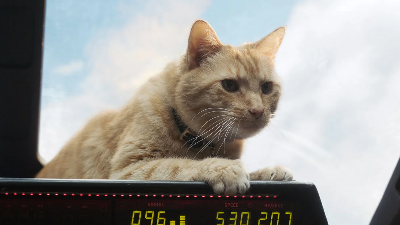 Goose is my Captain Marvel!