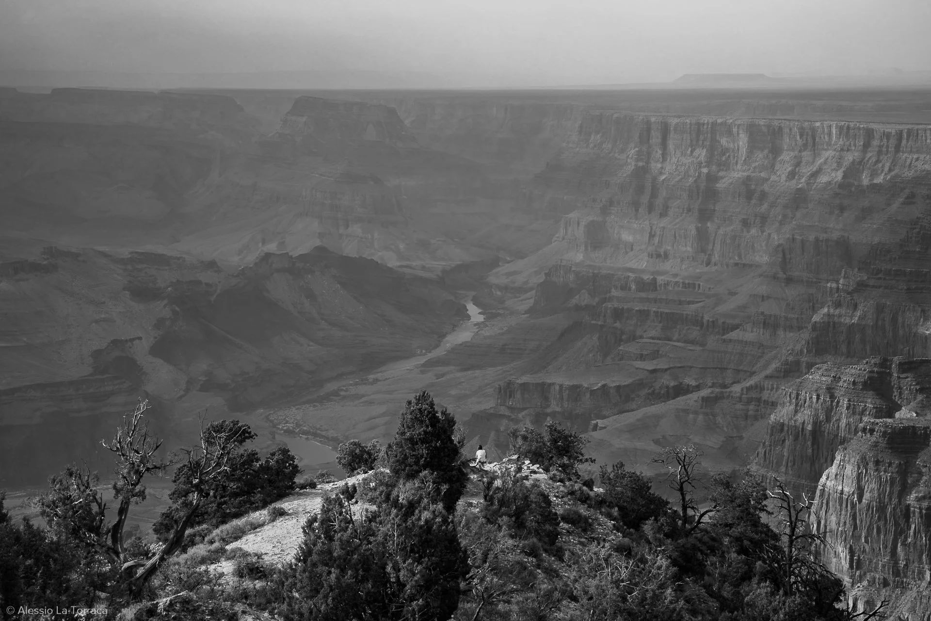 A black and white photo of the Grand Canyon with a person sitting among trees at the rim, overlooking the vast canyon with layered rock formations and the Colorado River in the distance.