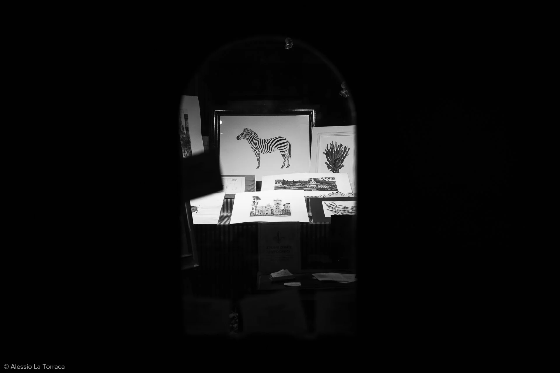 View of framed artwork and prints on display, including a zebra illustration, against a dark background through a small, rounded opening.