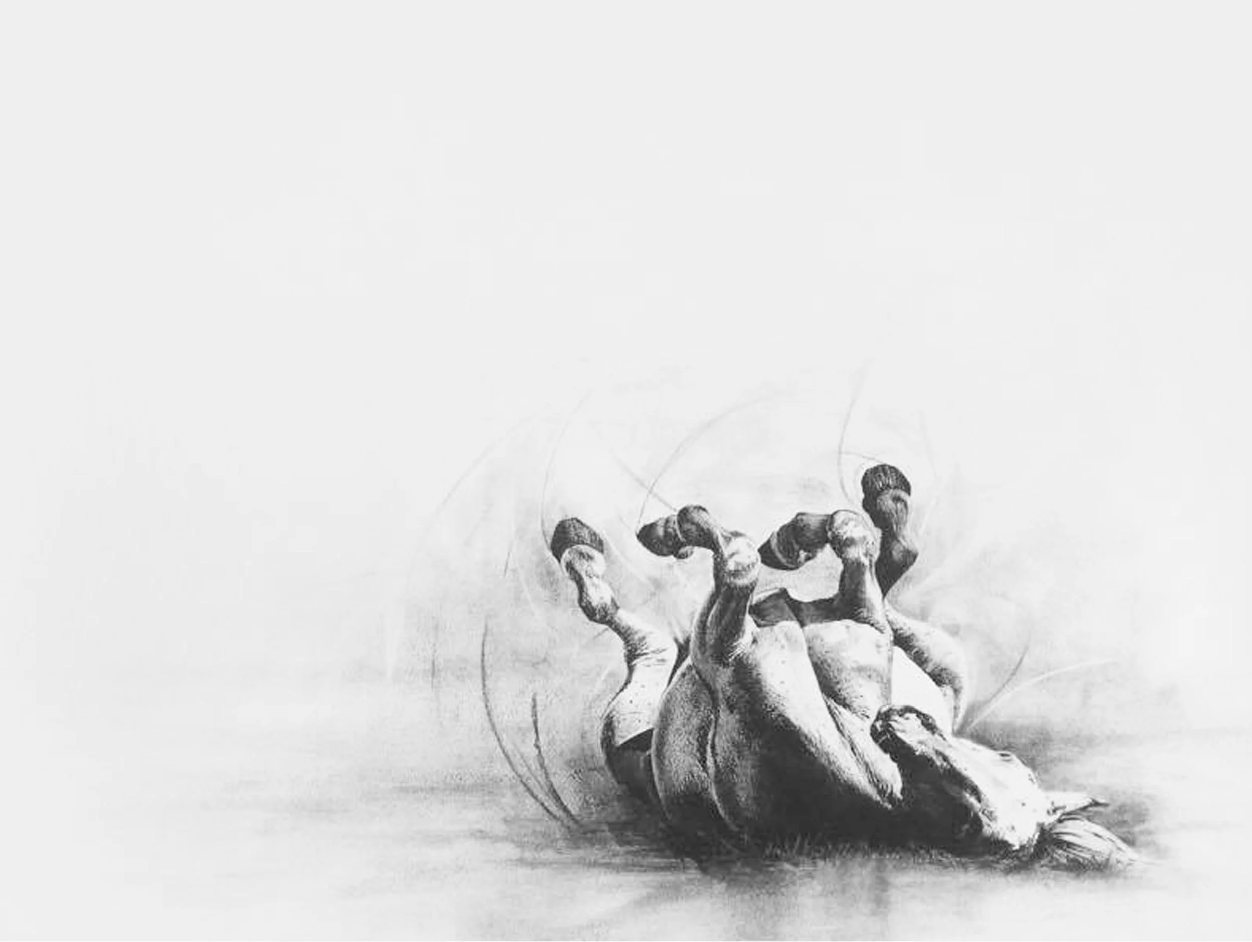 BACK SCRATCH | charcoal