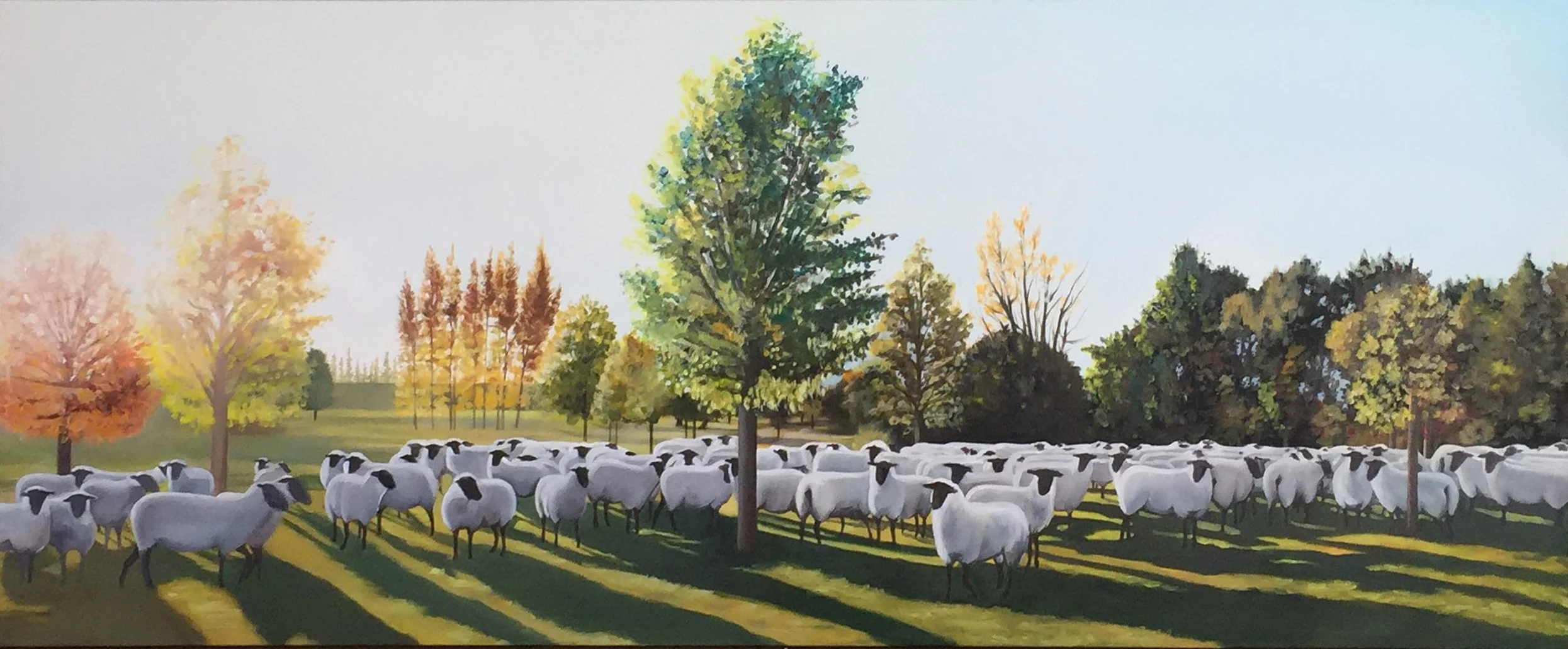 Suffolk Sheep.jpg
