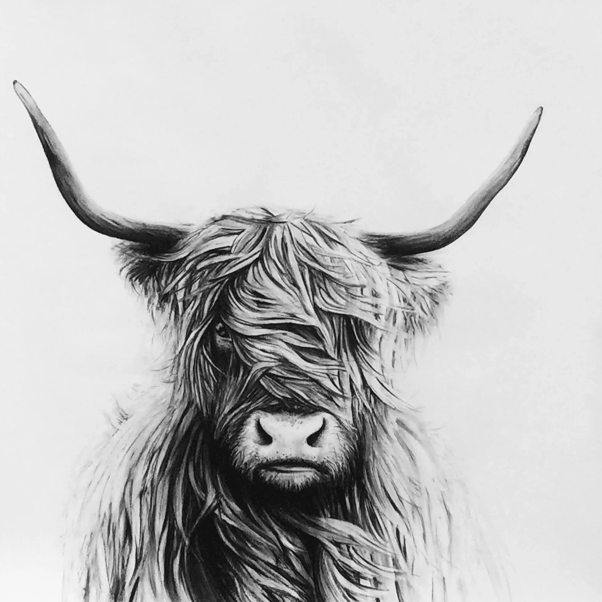 Paula Highland.jpg