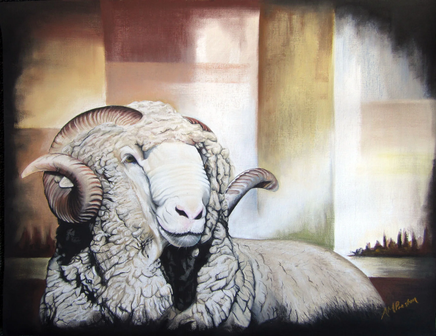 Merino Ram small.jpg