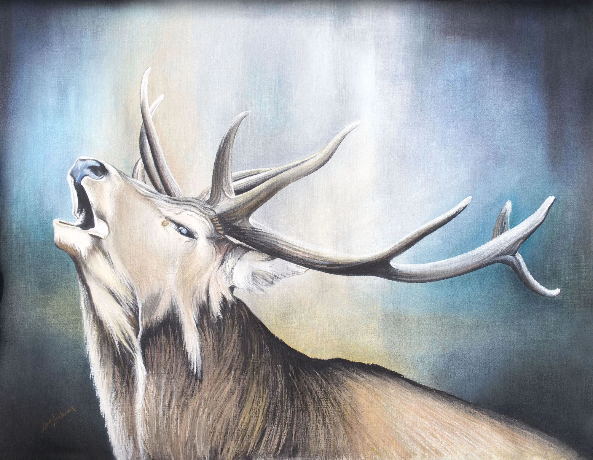 Stag Blue web.jpg