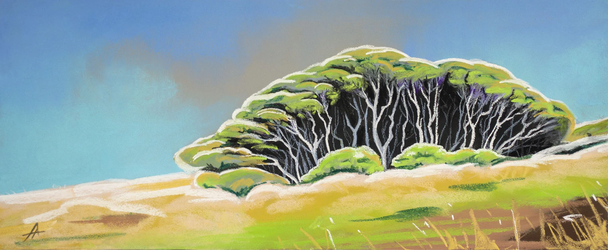 ManukaPastel AmyAnderson small.jpg