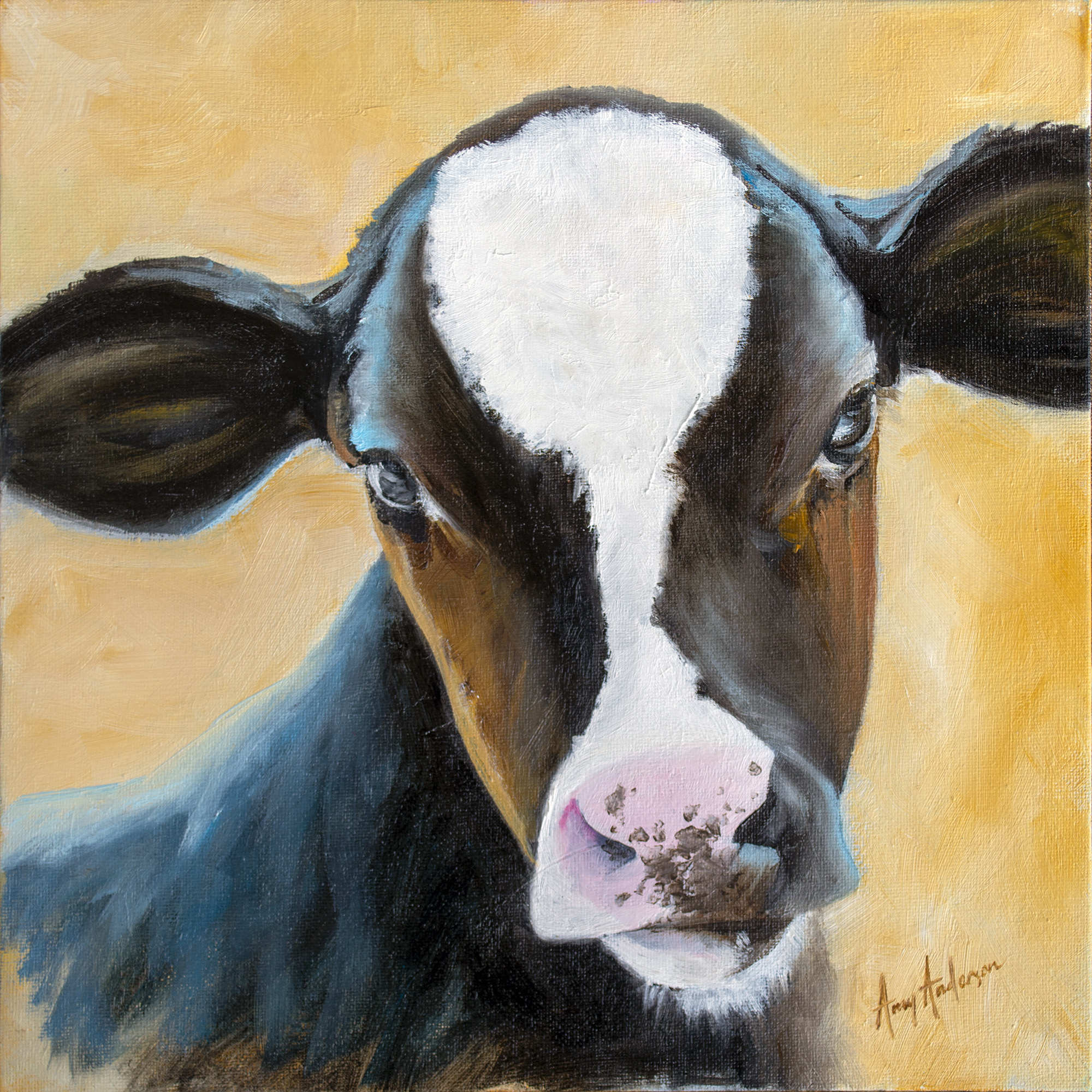 Fresian Calf small.jpg