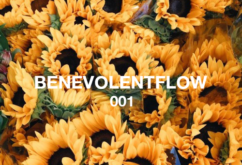 Sunflowers (Playlist)