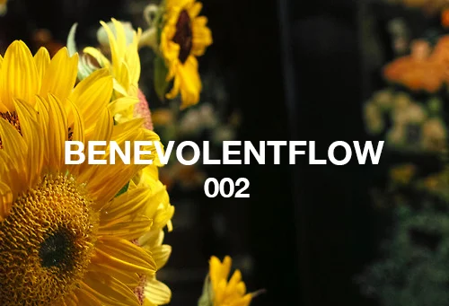 Flower Boy: First Impressions