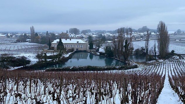 ❄️☃️.
.
.

#domainefelettig #chambollemusigny #chambolle #closdevougeot #grandcru #lesamoureuses #felettig #wine #vines #vine #vineyard #vineyards #welovewine #burgundywine #weloveburgundy #burgundylover #welovebourgogne #cotedor #cotedortourisme #in