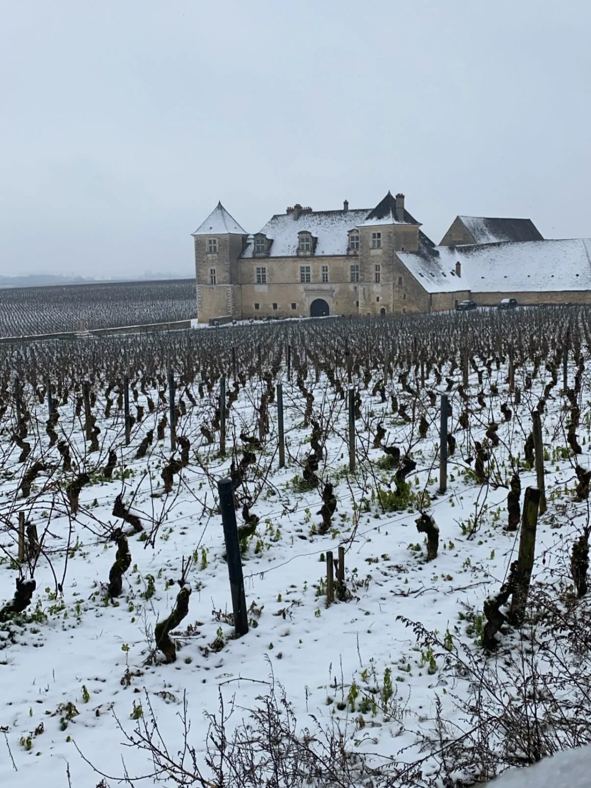 Nous vous pr&eacute;sentons nos meilleurs v&oelig;ux pour cette nouvelle ann&eacute;e !✨

Un beau mill&eacute;sime &agrave; venir, et de beaux moments de partage autour du vin! 

🍷 🙏🏻 

#newyear #2026 #winestagram #burgundy #chambolle chambolle