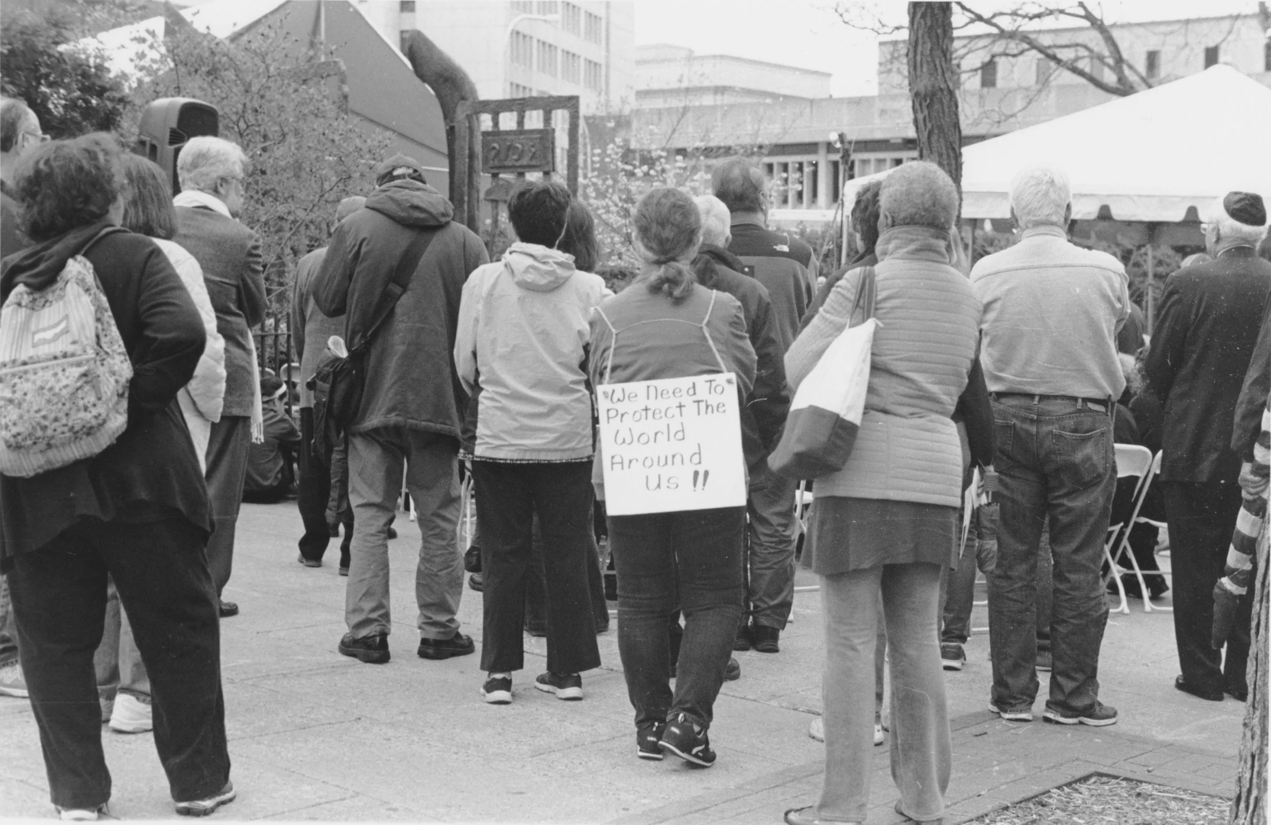 Scan 5.jpg