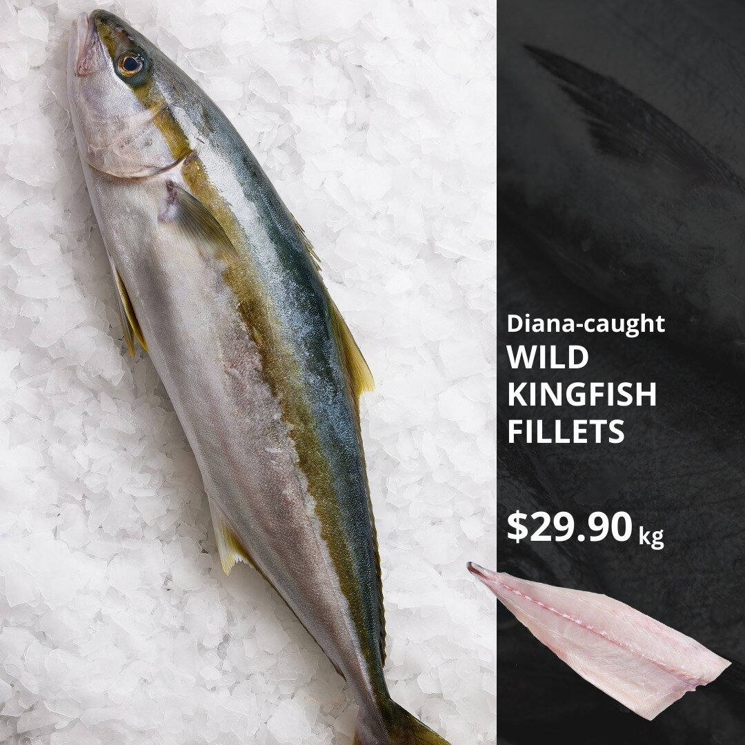CAMBRIDGE OUTLET SPECIAL:  Fresh wild-caught Kingfish fillets, straight off our vessel Diana!
.
Yellowtail Kingfish is an excellent, full flavoured fish with medium oil content and is well suited to sashimi, baking, barbequing, and grilling.
Retailin