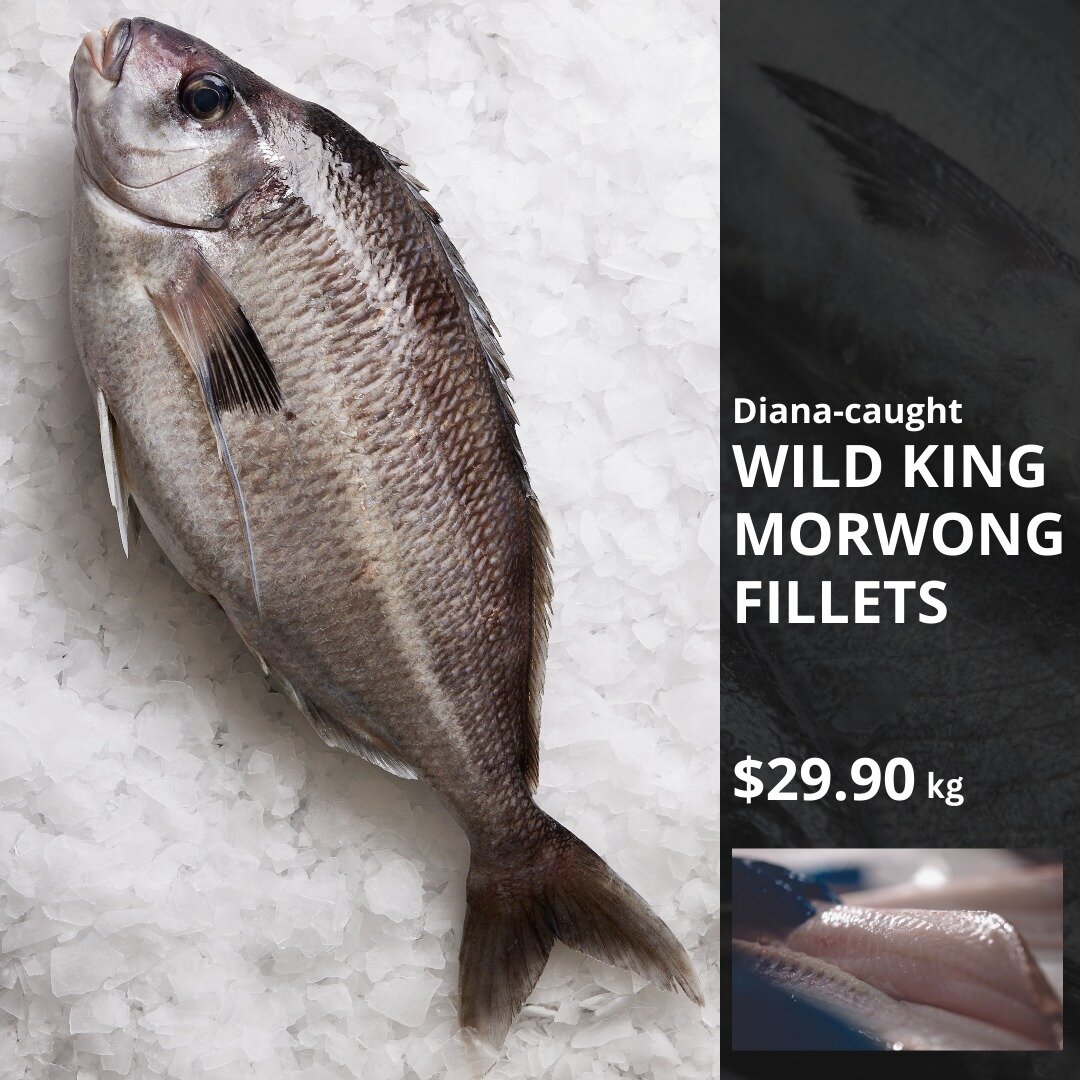 CAMBRIDGE OUTLET SPECIAL: King Morwong Fillets - $29.90kg
.
Wild-caught and straight from our fishing vessel Diana, King Morwong is versatile fish with creamy flesh suited for a wide range of cooking methods including baking, frying, steaming, or bar