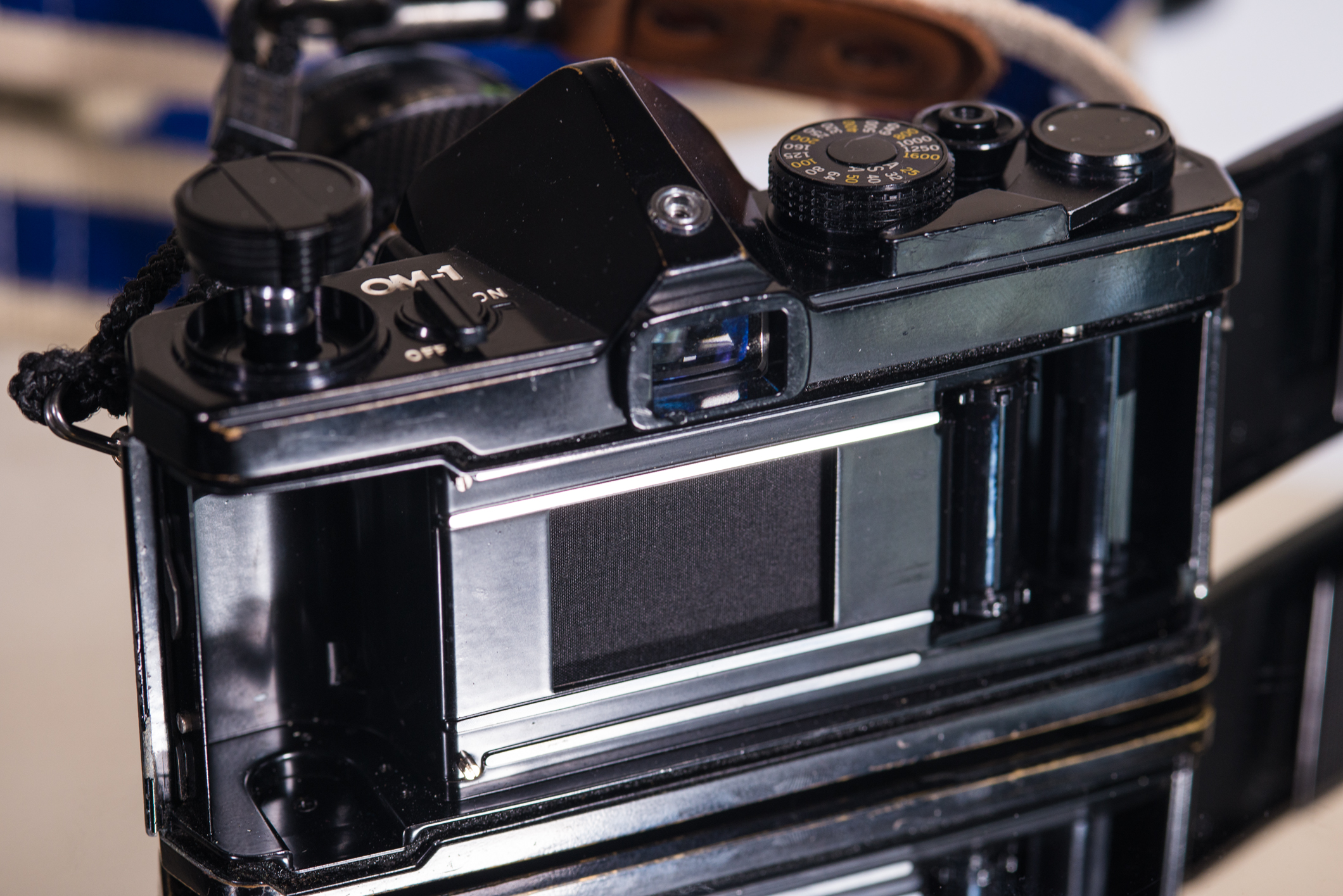 Film door open, revealing the cloth shutter mechanism.
