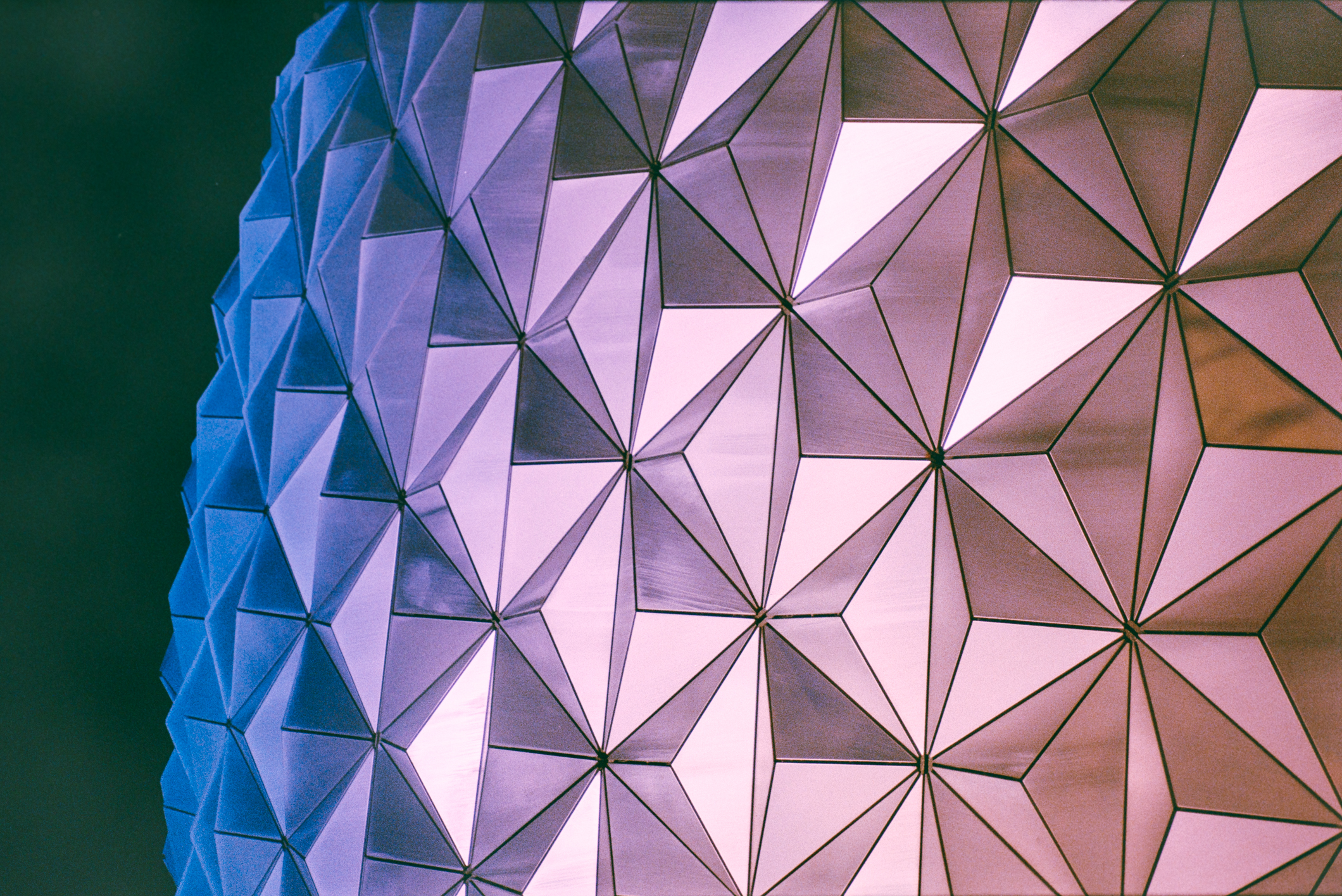 NFX_5604.jpg