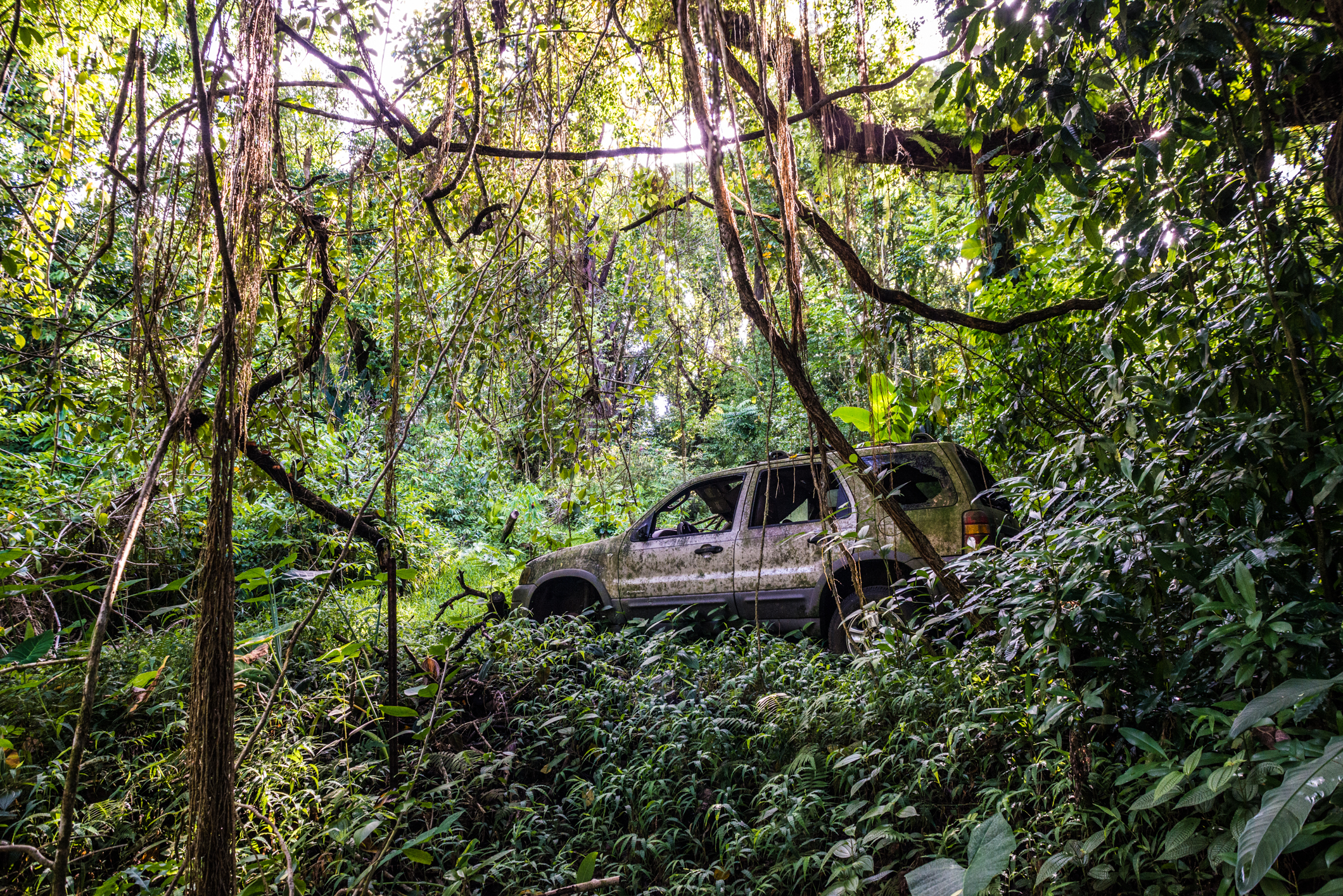 Just one of the many exhilarating things to discover "off the grid," as long as this isn't your car.