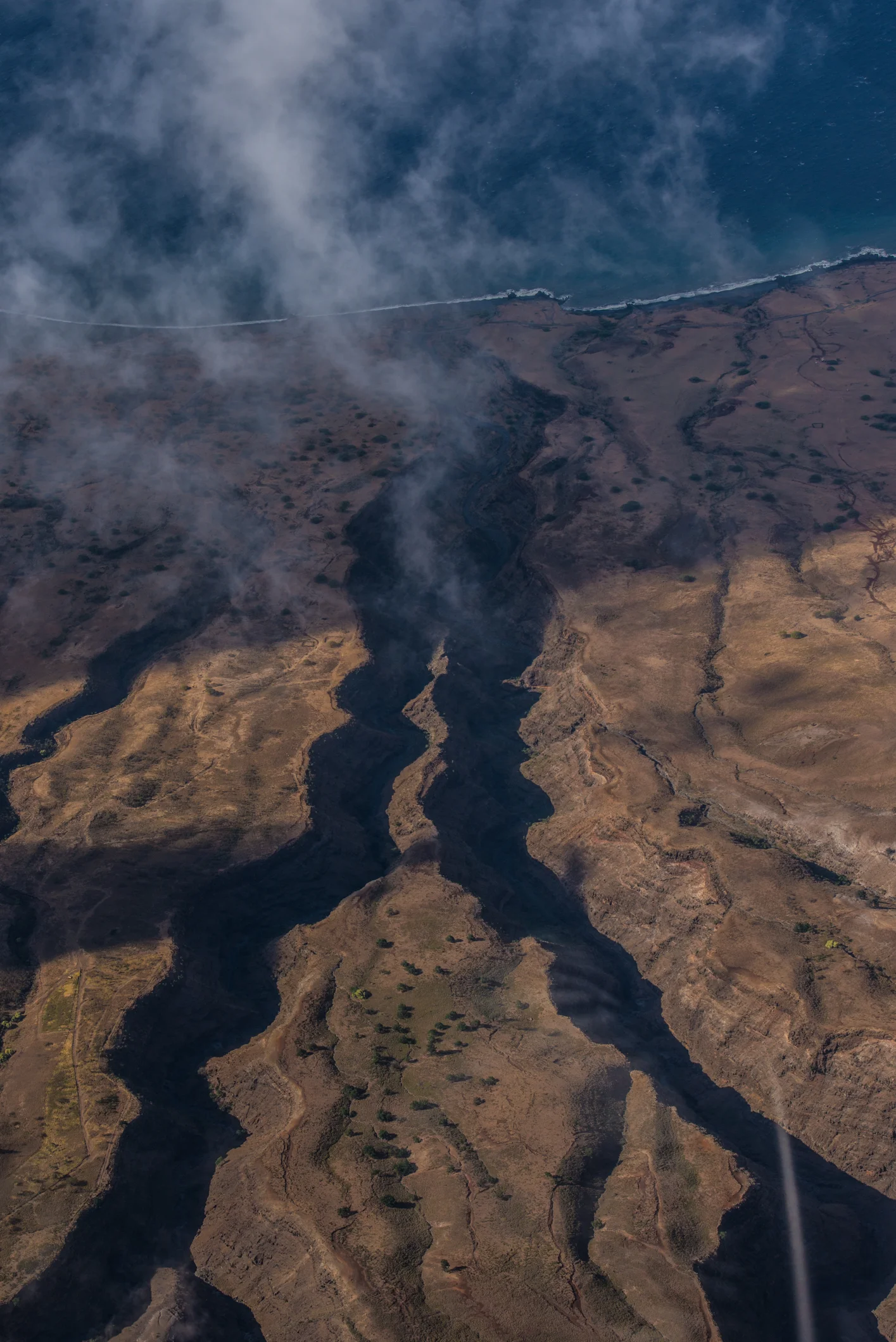 NFX_2322.jpg