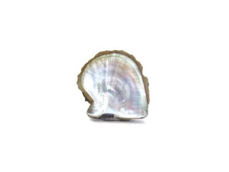 Fine Mother-of-Pearl stone