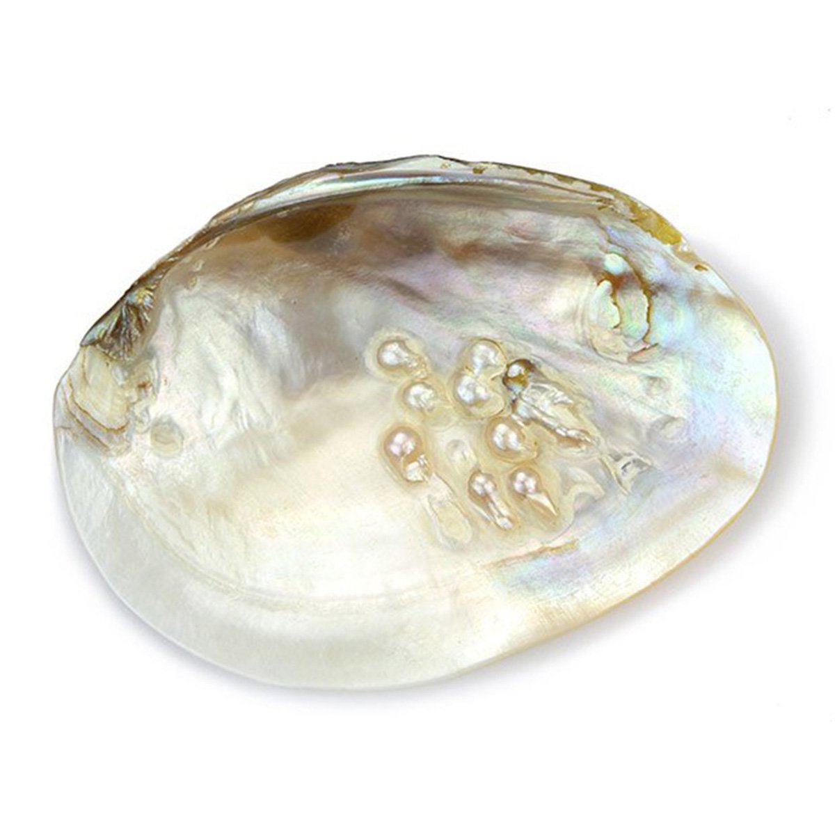 Mother-of-pearl stone