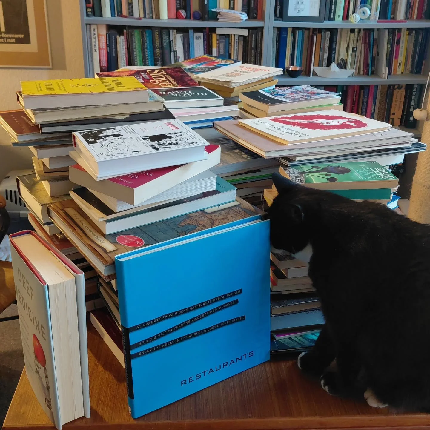 Sidste &aring;r l&aelig;ste jeg 231 b&oslash;ger. Jeg l&aelig;ste mange digte, mange skuespil, mange breve og mange noveller. 

Fagb&oslash;ger om Romantikken og Dante, myter og matematik, alternativ historie og erotik og poesi, om asetro, AI og femi