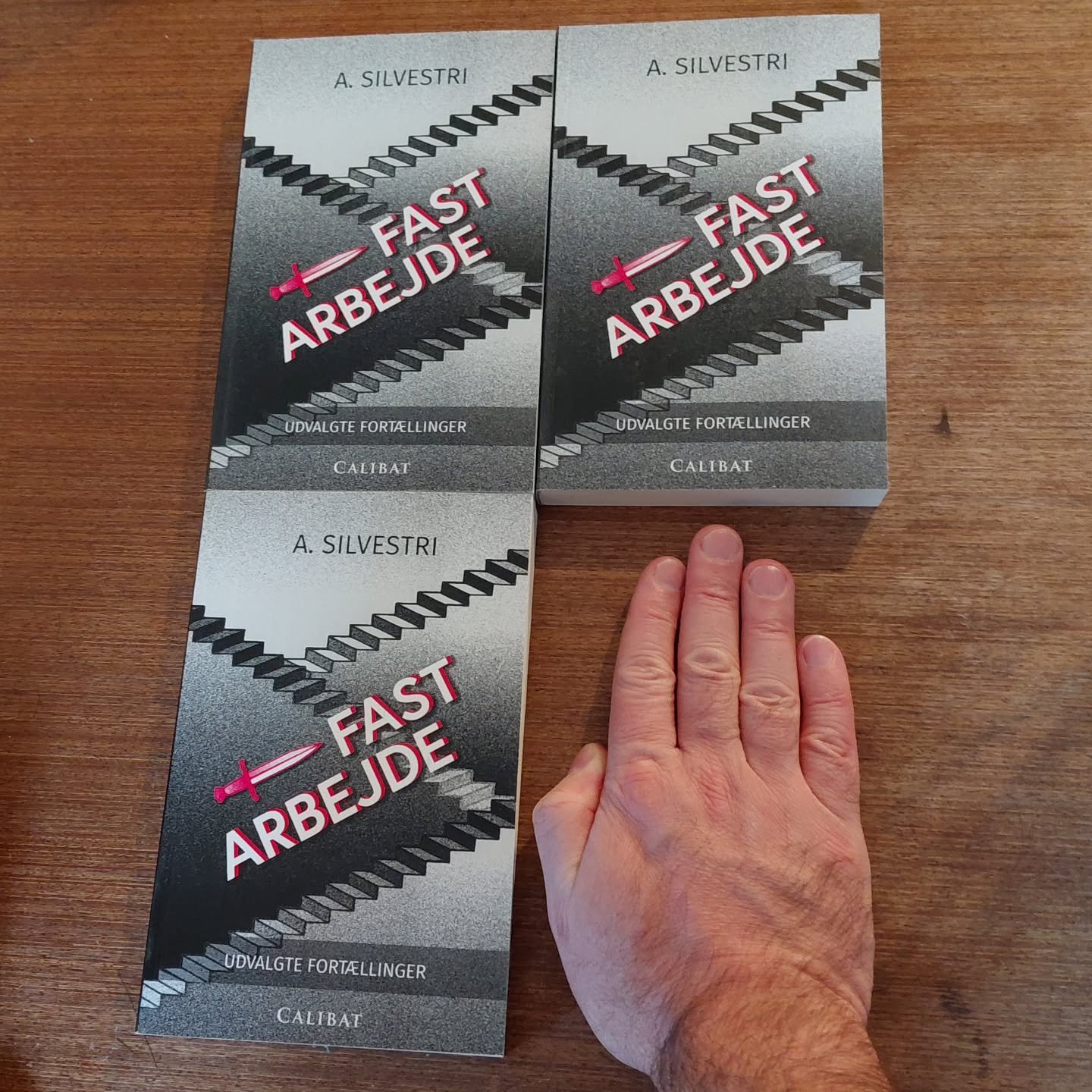 Nogle gange sker der p&aelig;nt overraskende ting i et forfatterskab, og jeg har helt glemt at fort&aelig;lle om det, der h&aelig;ndte i december 🙂

Min anden opsamling, Fast arbejde, har aldrig v&aelig;ret en s&aelig;llert. Derfor blev jeg n&aelig;