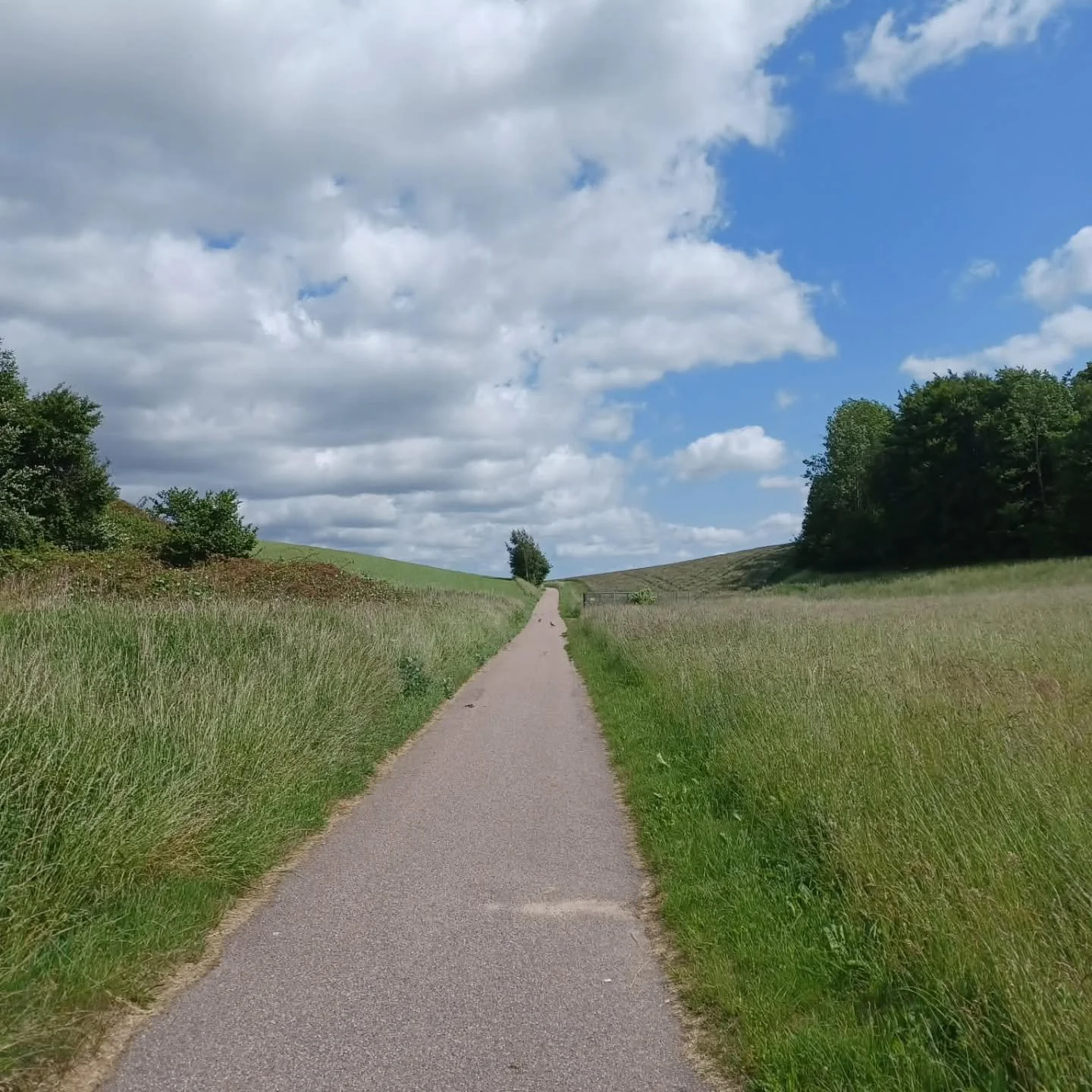 Den 23. maj (om 100 dage) har jeg l&oslash;bet 1000 dage i tr&aelig;k. Fordi det er noget s&aelig;rligt, har jeg oprettet et event p&aring; Facebook 🙂

Se link i profilen 🙂 DU er inviteret!

#1000dagesl&oslash;b #l&oslash;betur #event