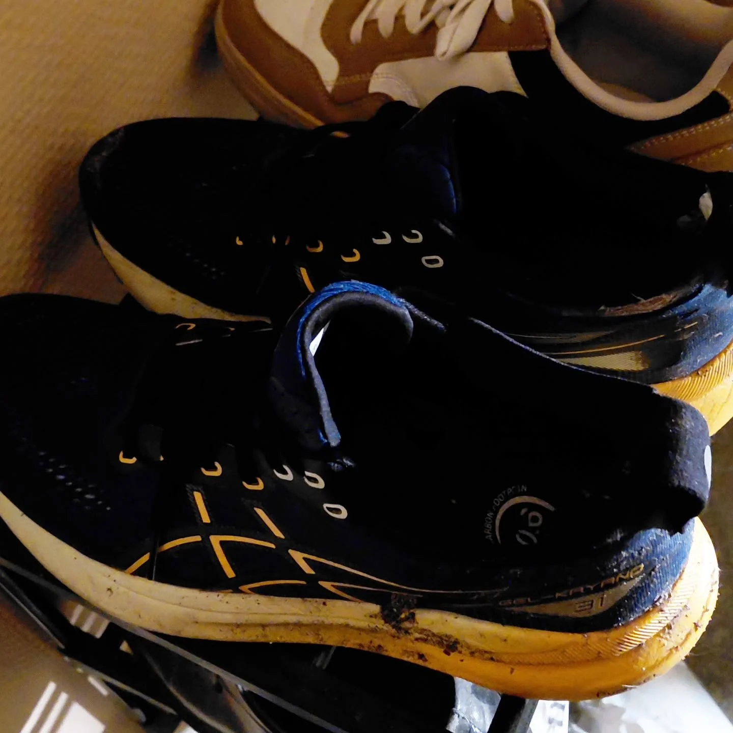 Gennem hele vinteren har jeg, s&aring; vidt som muligt, timet mit daglige l&oslash;b efter solnedgangen. Jeg har t&aelig;nkt p&aring; det som at jeg l&oslash;ber solen ned, og for hver dag blev det lidt senere og lidt t&aelig;ttere p&aring; for&aring