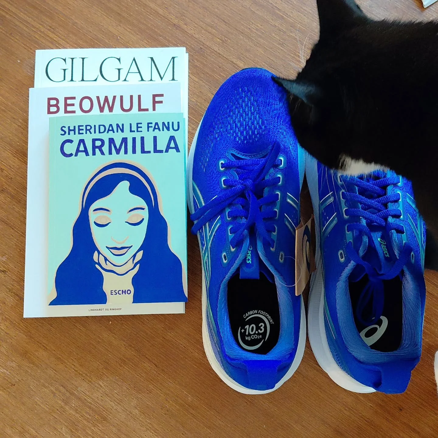 Jeg har lige hentet to pakker. Indholdet af den ene skal jeg bruge til efter&aring;rets foredrag, mens den anden har at g&oslash;re med motion. Hvad der er hvad, m&aring; du selv g&aelig;tte 😉 (Missest&aelig;ten er blot p&aring; g&aelig;stevisit)

#