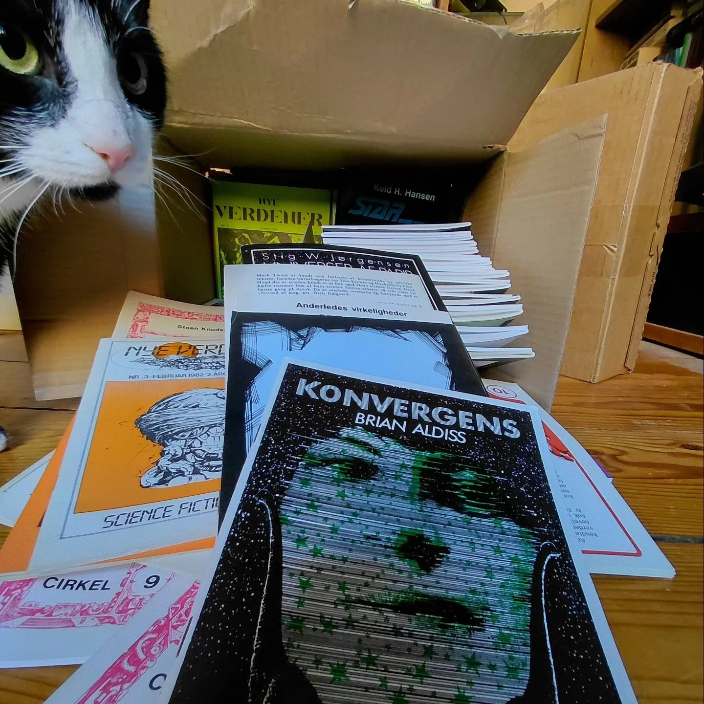 I efter&aring;ret ryddede Science Fiction Cirklen op p&aring; deres lager og solgte fortidens fremtid for en slik (10 kroner stykket). Jeg slog til og k&oslash;bte &eacute;t eksemplar af n&aelig;sten alt hvad de havde og det var en del 🙂 De &aelig;l