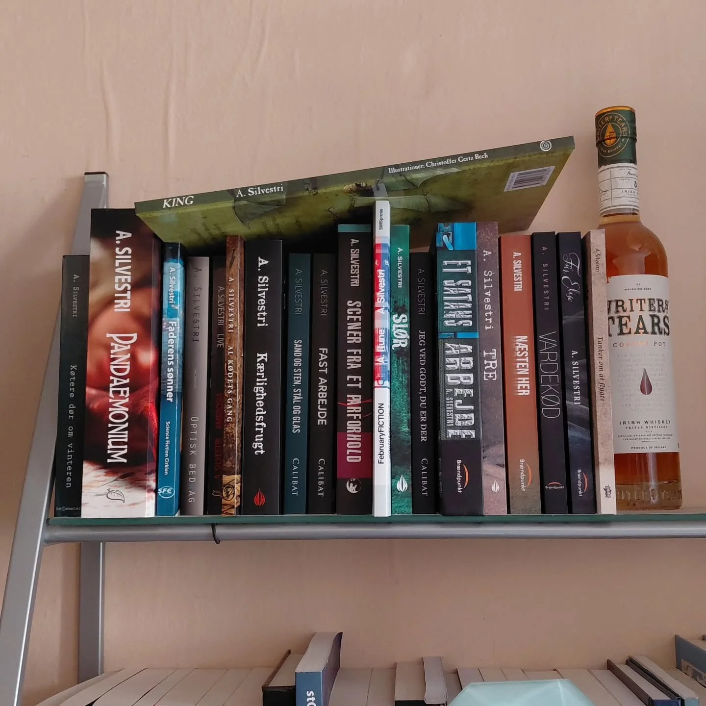 I dag er det Verdens Bogdag og derfor pegede jeg kameraet et helt tilf&aelig;ldigt sted hen i min lejlighed.

Hovsa, der kan man bare se. Hvor m&aelig;rkv&aelig;rdigt, at det lige skulle ramme en hylde, hvor jeg oprigtigt kan sige, at alle v&aelig;rk