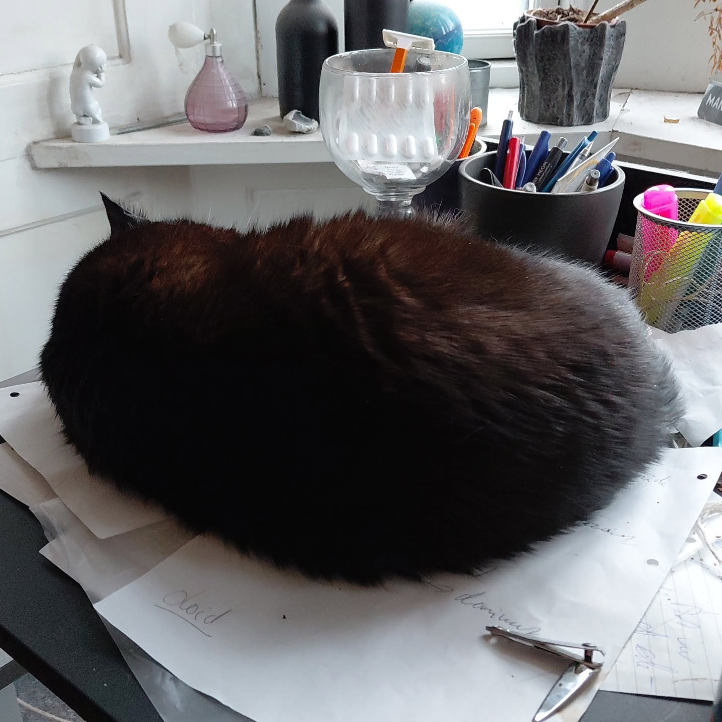 S&aring;dan tilbringer jeg de fleste aftener efter arbejde for tiden. Med h&aelig;nderne p&aring; tastaturet og Knud slumrende ved siden af, indtil det bliver s&aring; m&oslash;rkt at han smelter sammen med skyggerne. Ingen musik, ingen tale. Bare de