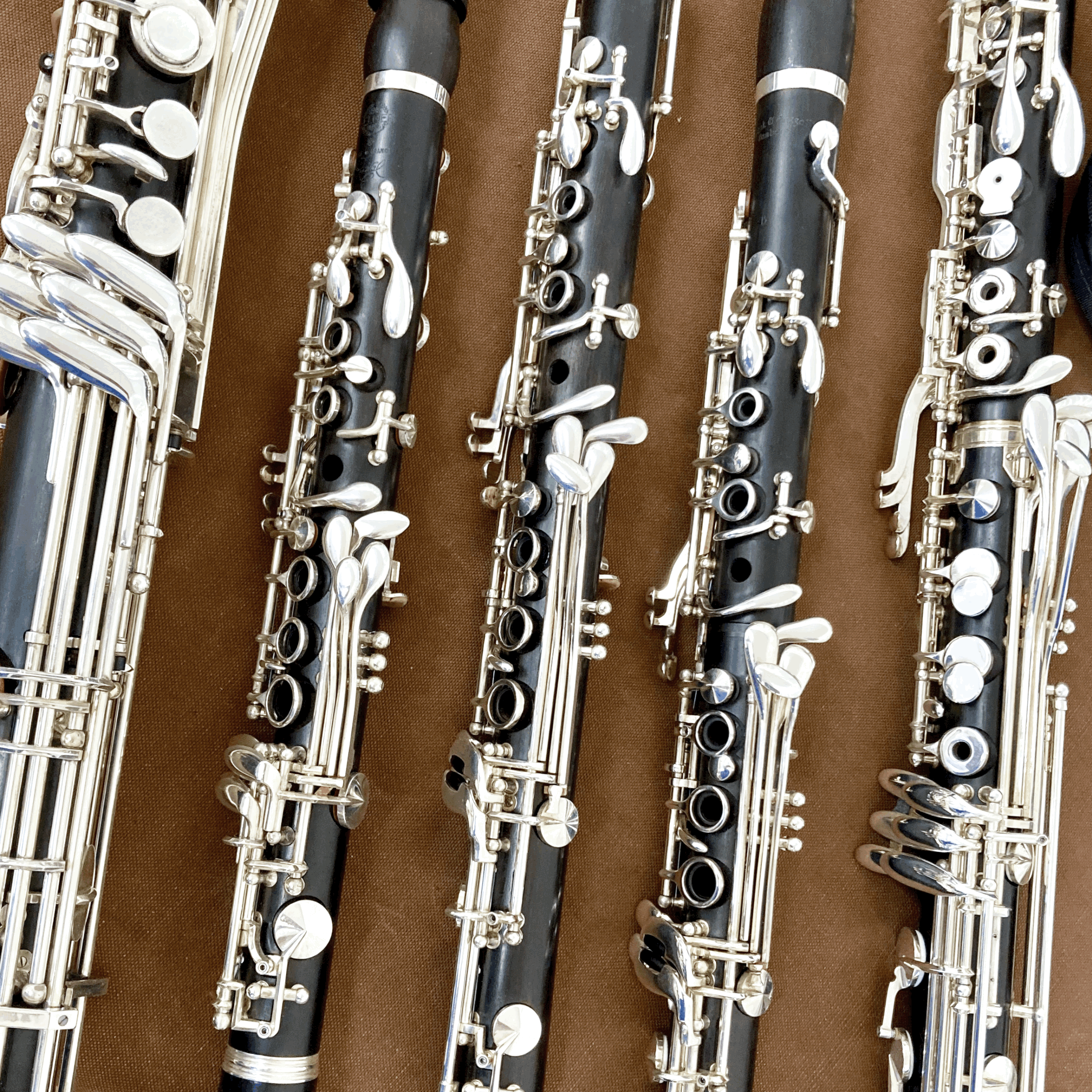 Feldmusik Sarnen: Klarinettenworkshop