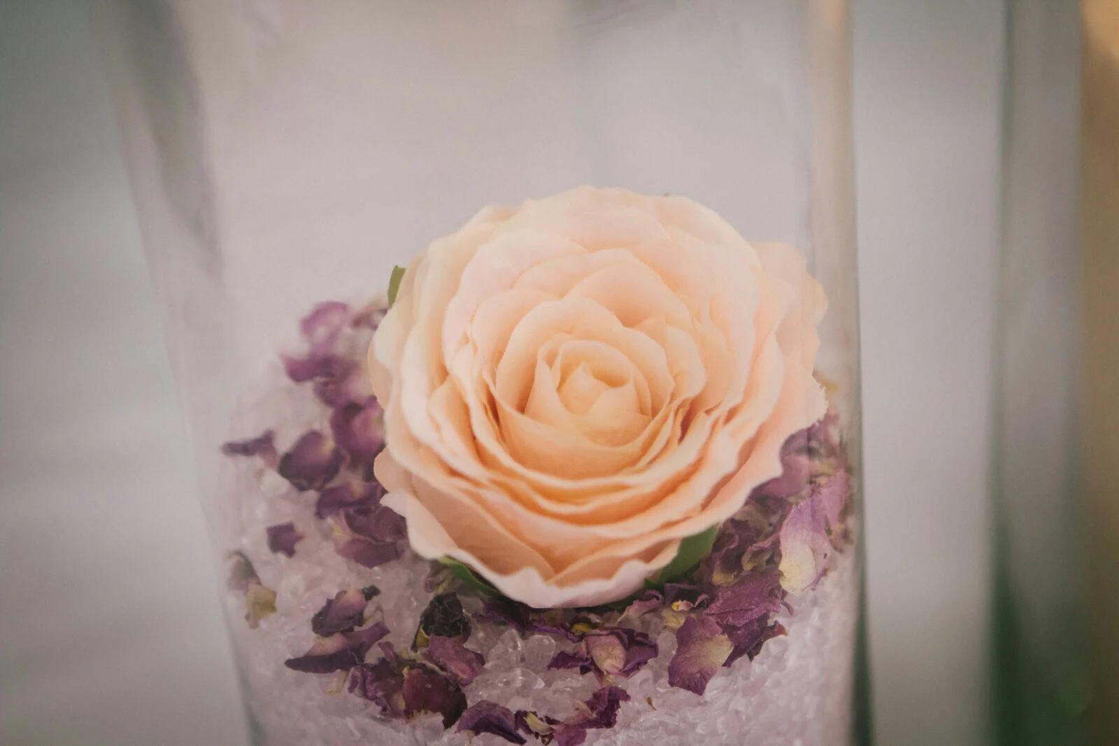 Wedding 4.jpg