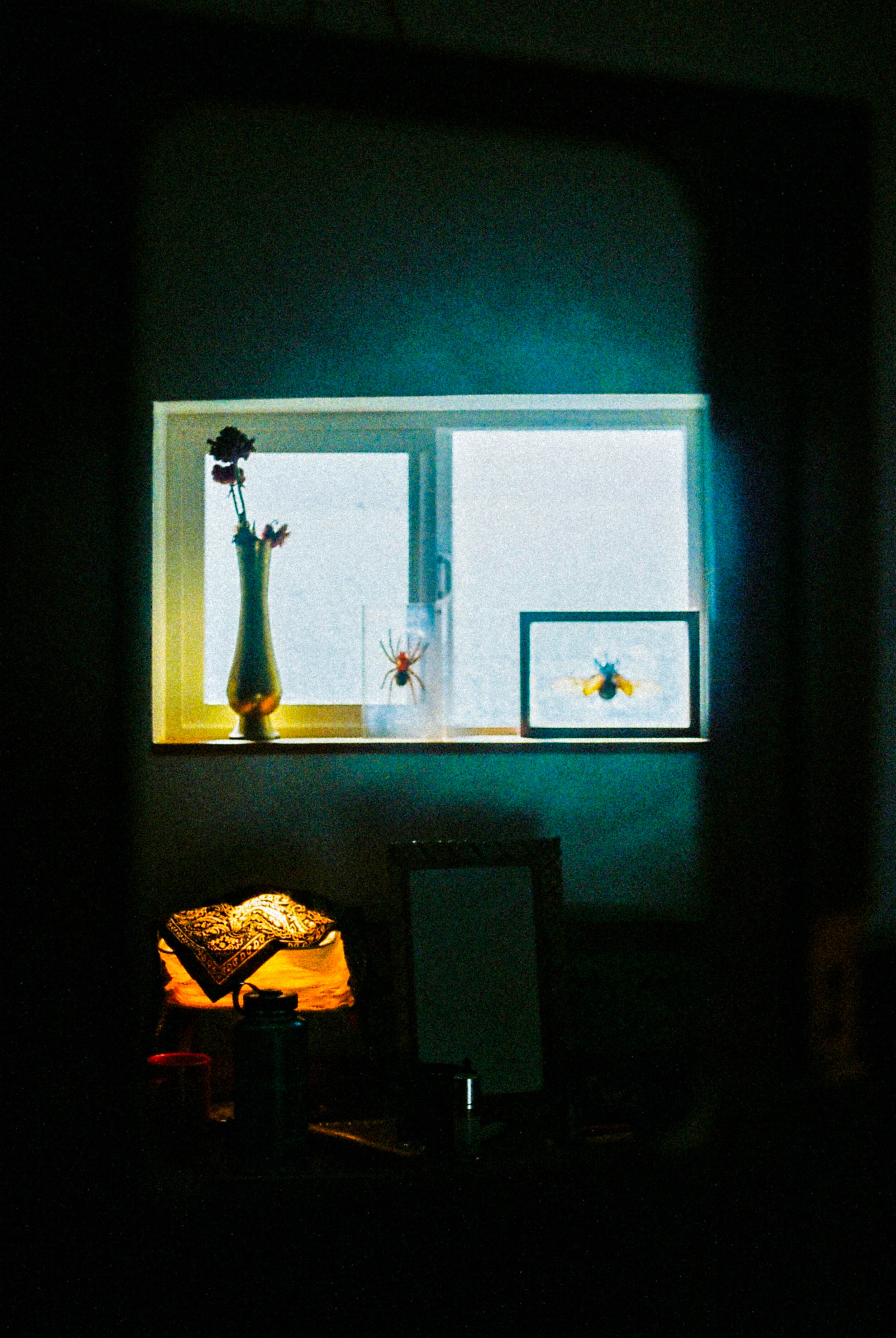 Taylor's room.jpg