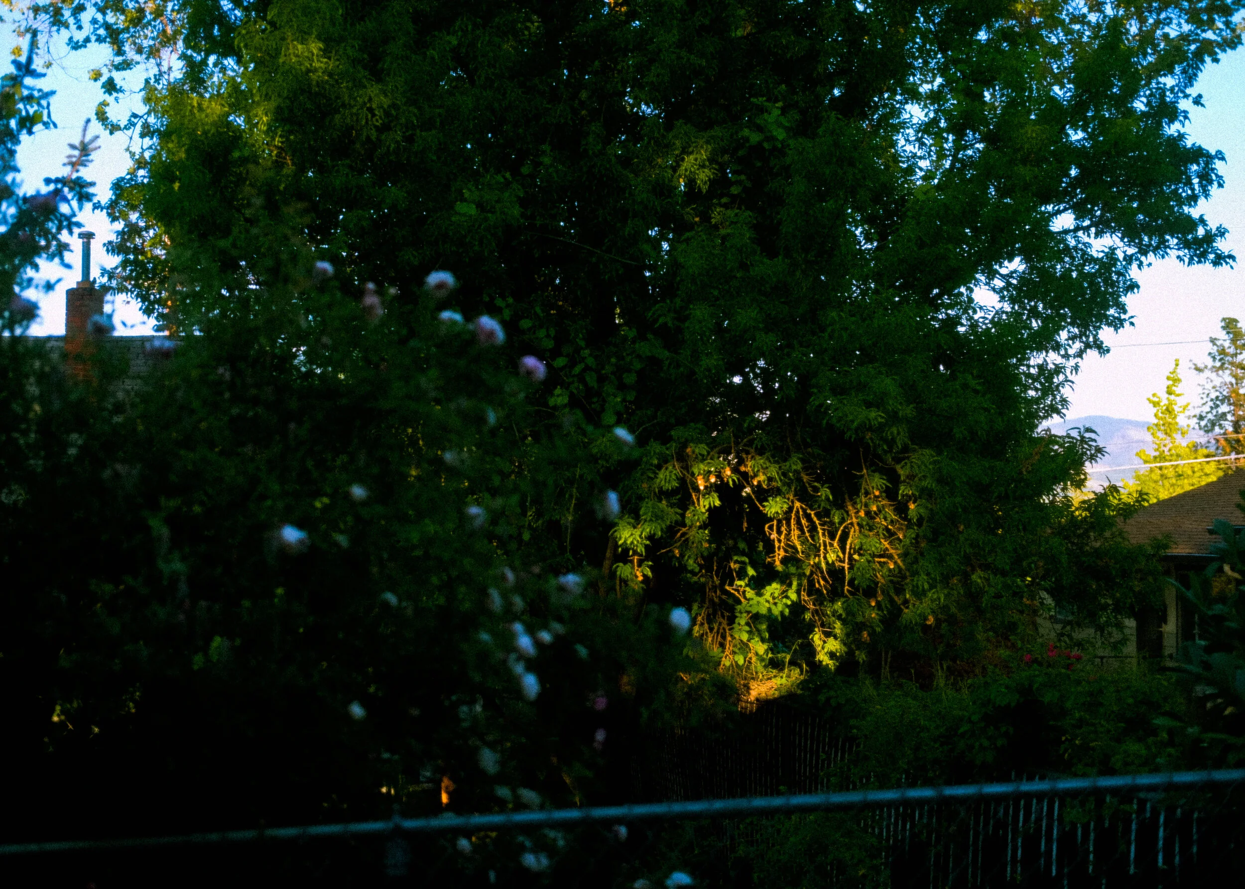 pool of light from window.jpg