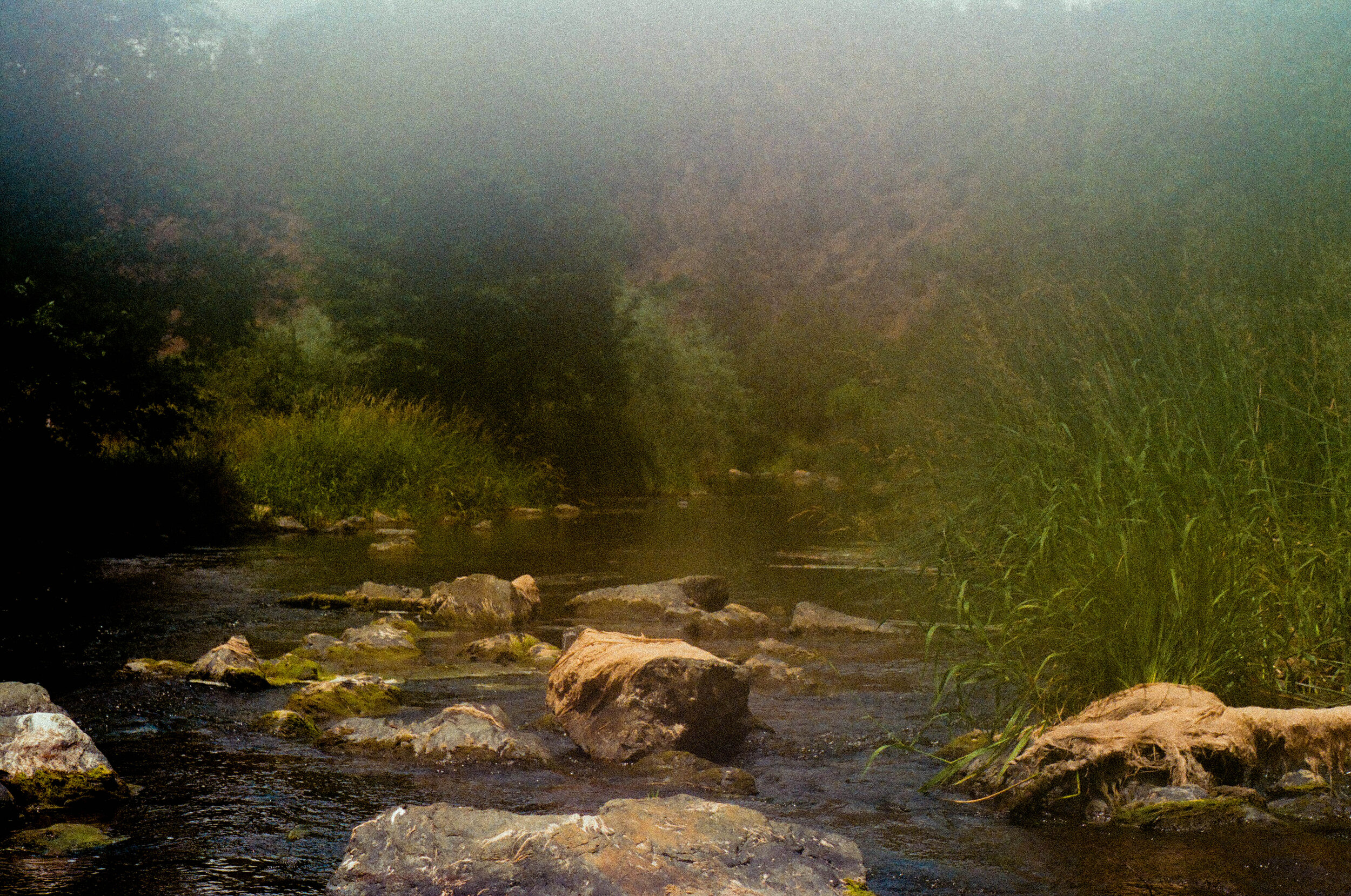 1D5E3FC9-C6AC-4007-8D10-B0E0BA05FE35.jpeg
