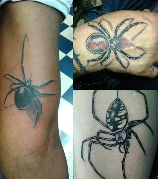 spiders snip.jpg