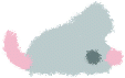 mouse.gif