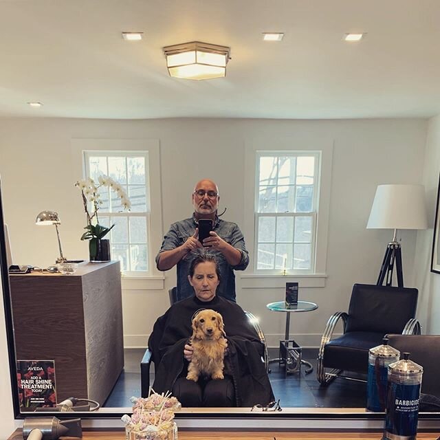 ESA for my guests when needed!  This particular guest has a huge crush on our Henri!
#newprestonct #dachshundsofinstagram #hairstudio