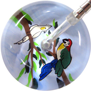 084 - Tropical Birds