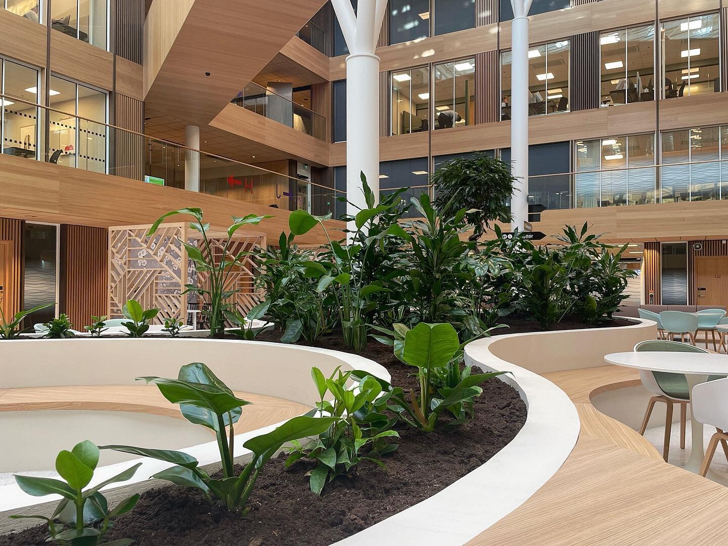 Interi&oslash;ret er p&aring; plass, inkludert en gr&oslash;nn oase i atrium B 🌱🌴
Utmerket gjennomf&oslash;rt interi&oslash;rkonsept av  @signalarkitekter_oslo 👏 

#kommuneg&aring;rden #breeamoutstanding #ombygging #interior #architecture #oak #gr